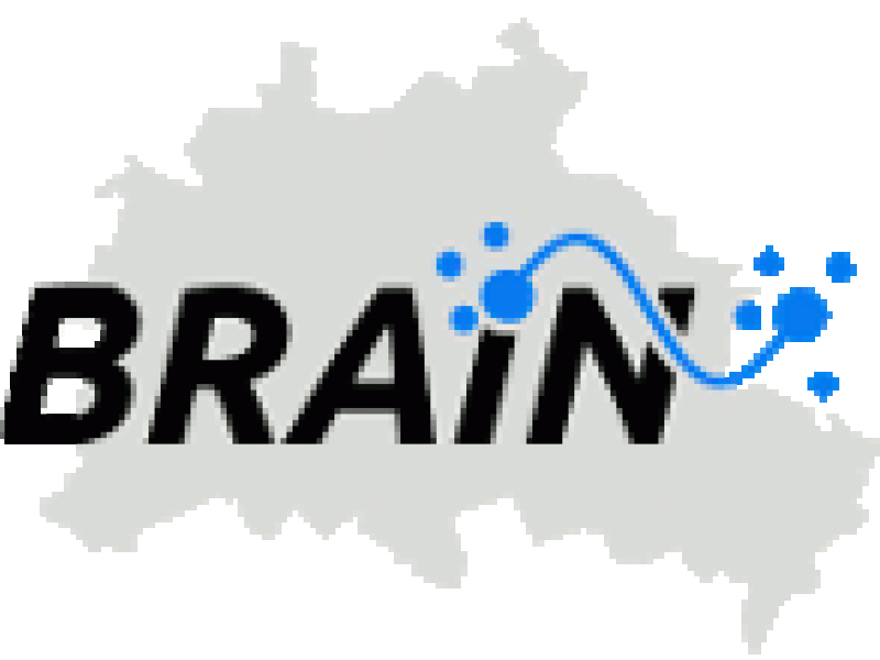 BRAIN