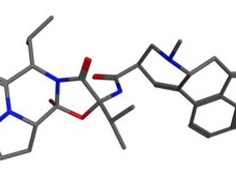 Investigation of the Ergoline Epimerization Process