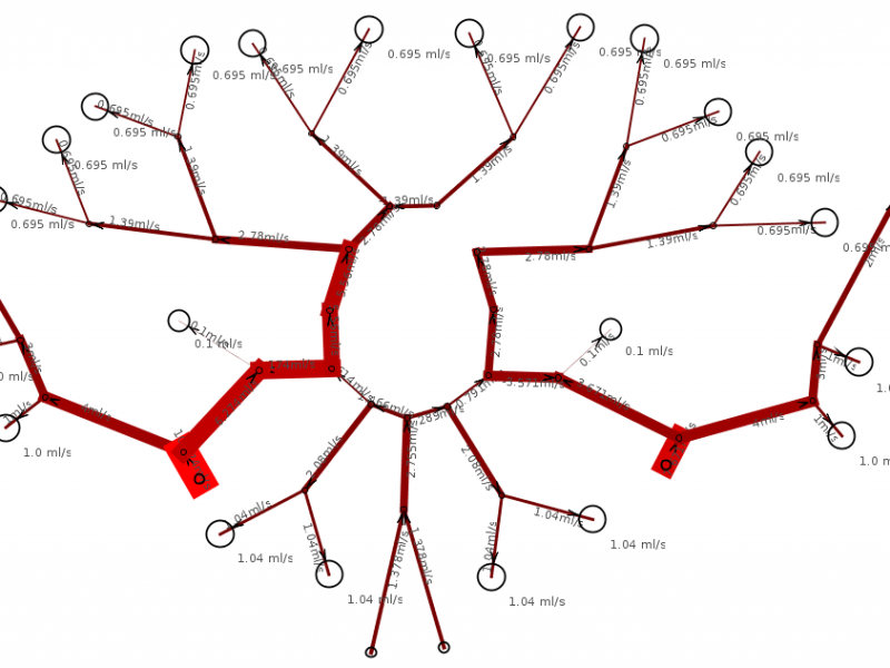 Simulation of Cerebral Circulation