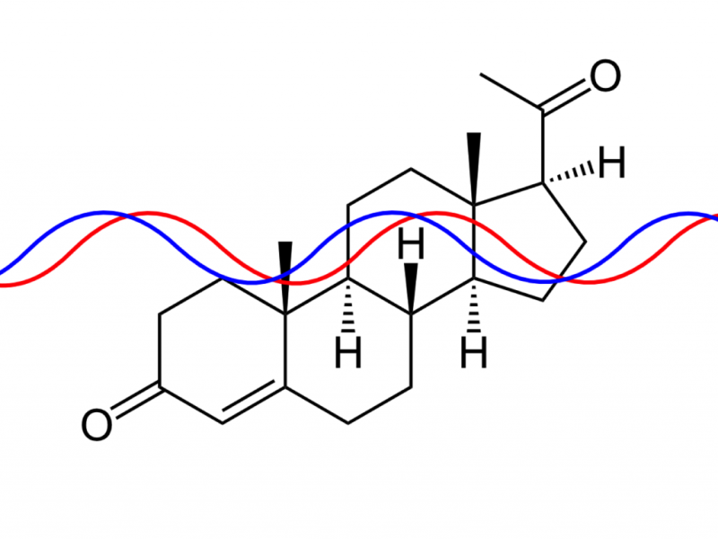 Progesterone Detection in Milk