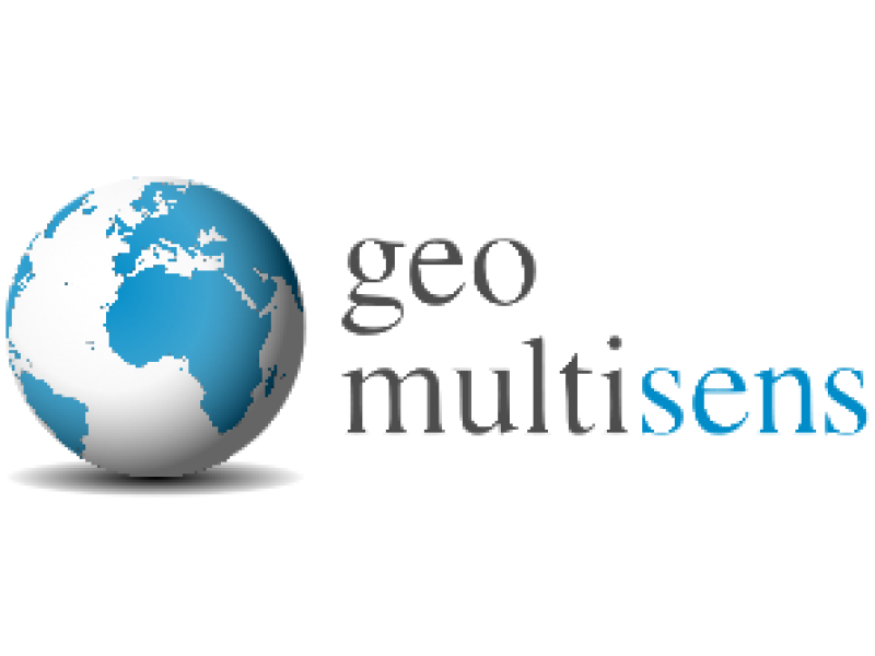 GeoMultiSens