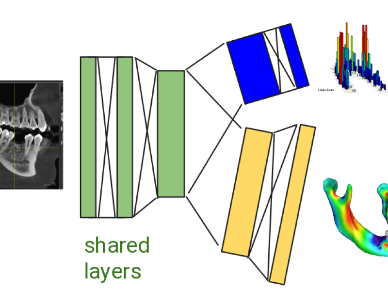 Integrating data for tooth implants