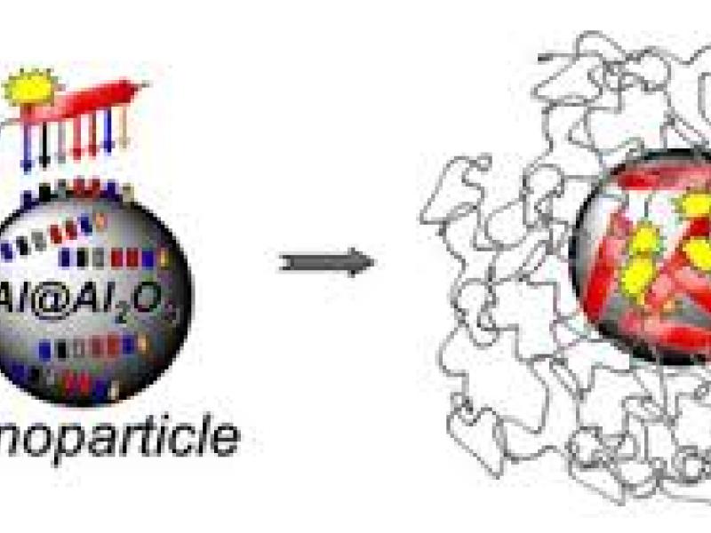 Analysis tools for dynamic interfaces to understand nanostrutures