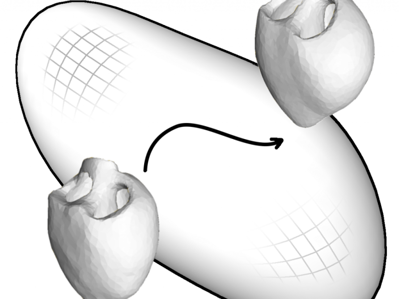 Analysis of Empirical Shape Trajectories