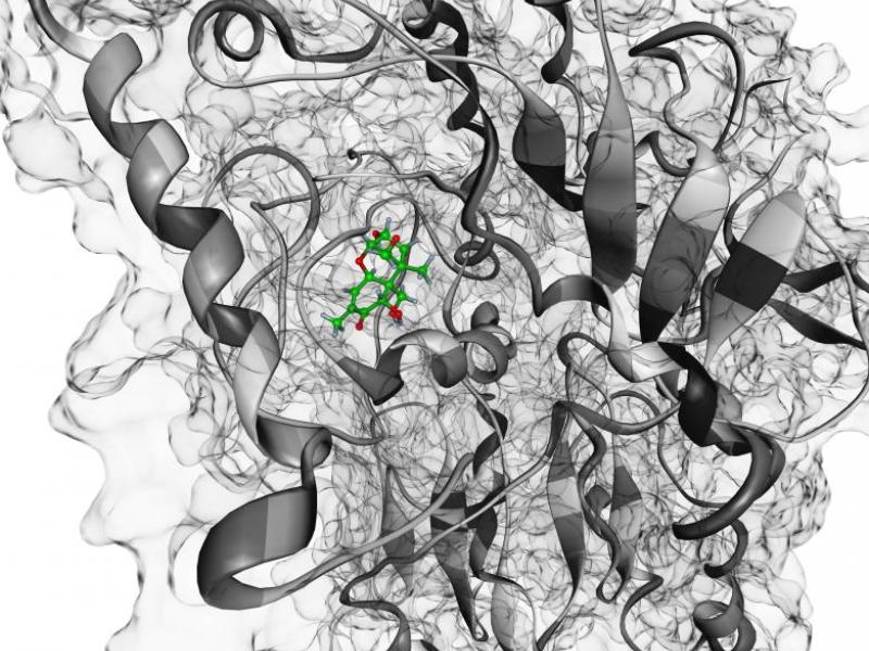 Modelling of Substrate Specificity of Various β-Glucosidases and UDP-Glucosyltransferases Exemplarily Done with Mycotoxin-β-D-Glucosides