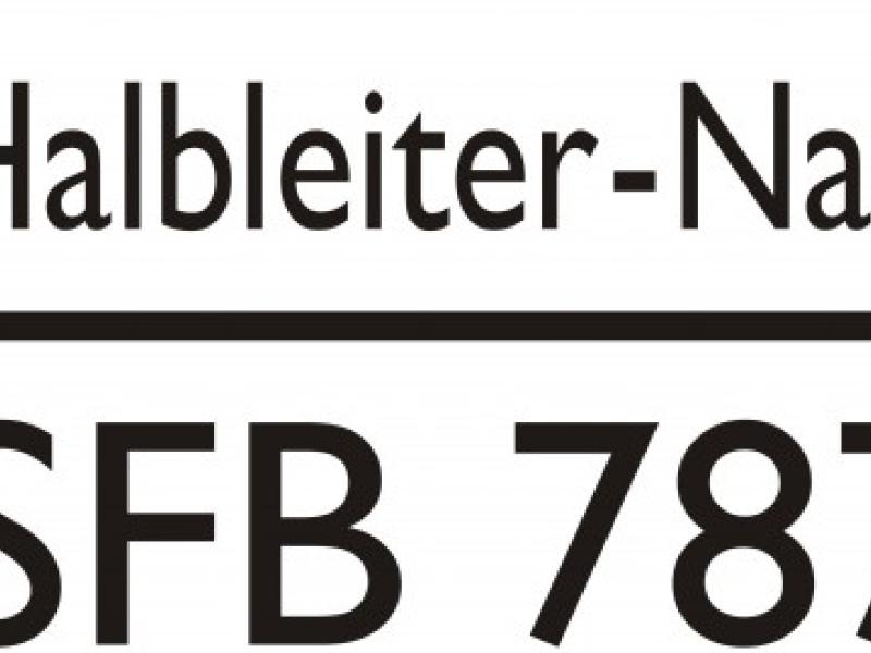 Simulation of Semiconductor Based Emitters (SFB787)