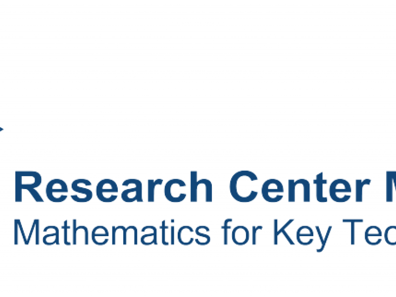 Stochastic pattern formation in brain wiring