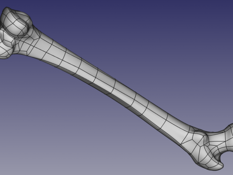 Media Name: nurbs-approximation.png