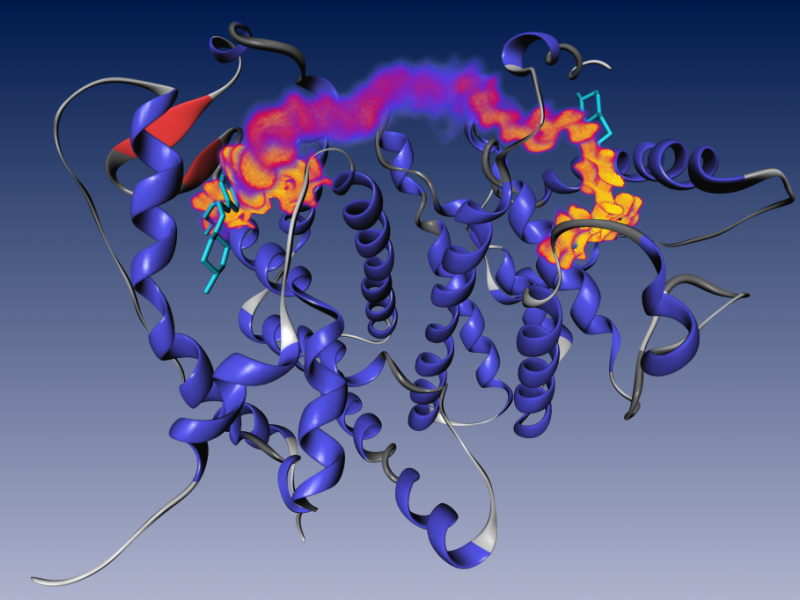 Kinetics and Design of Multivalent Processes