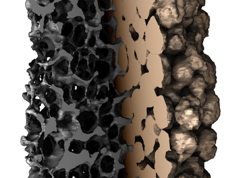 Image-based Analysis and Modification of Scaffold Structures for 3D Printing