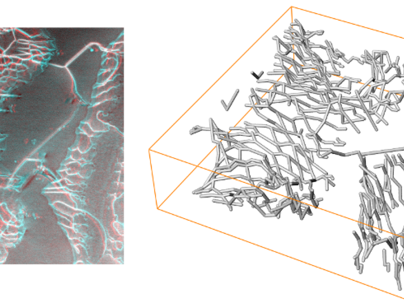 Quantification and Visualization of Dislocation Structures Based on Stereographic STEM Images