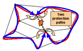 p-cycles
